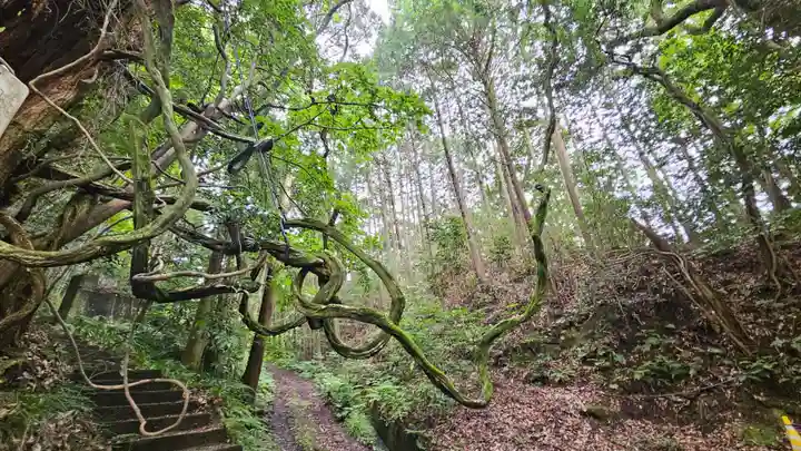 玉作湯神社(島根県)