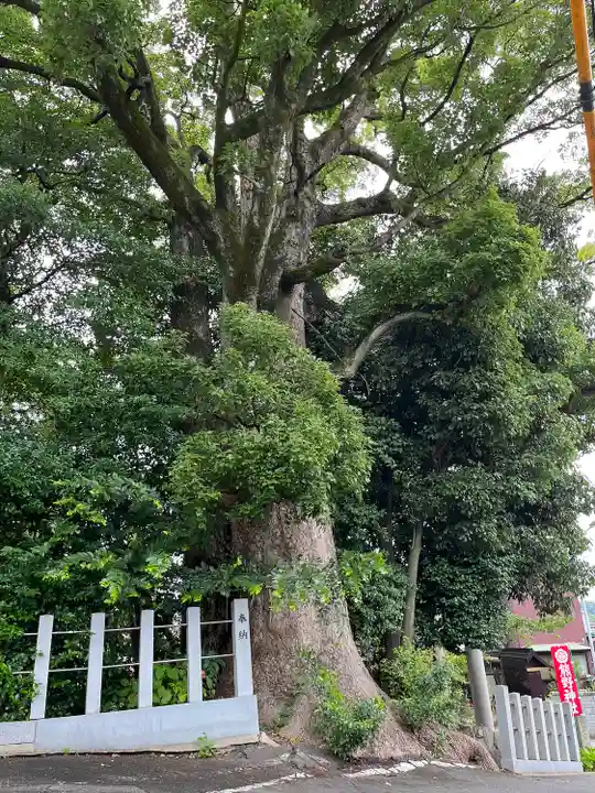 東海市熊野神社(愛知県)