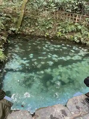 八重垣神社(島根県)