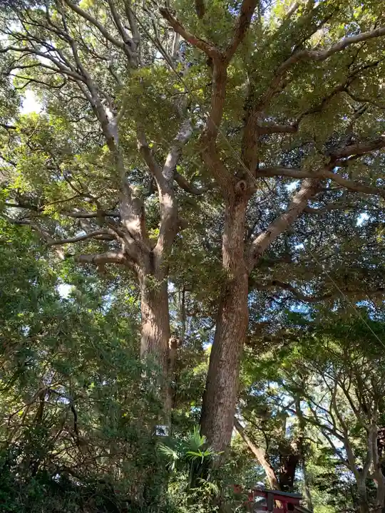 野田神社の自然