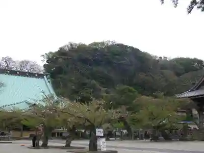 光明寺のその他建物