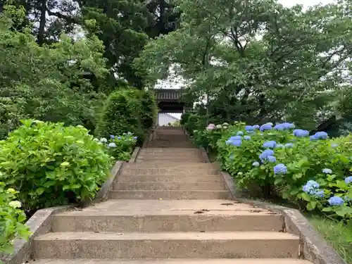 寳性寺の山門