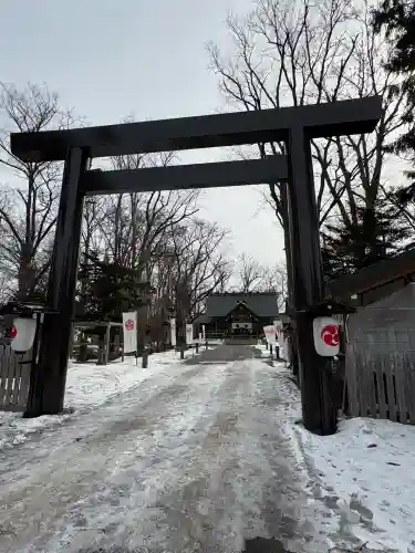 旭川神社の鳥居