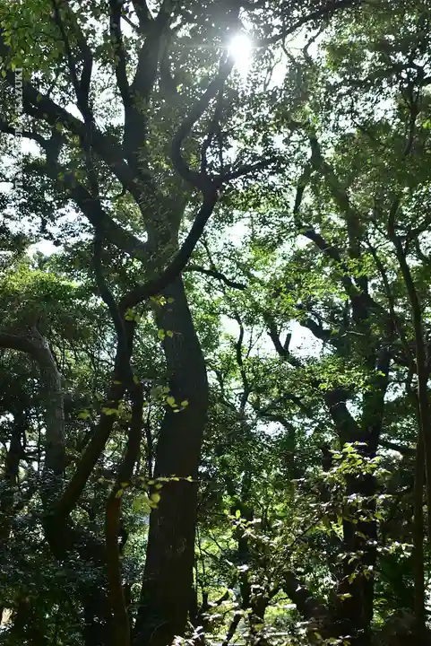 大甕神社(茨城県)