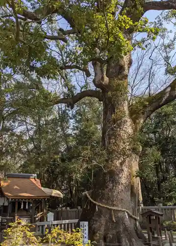 伊弉諾神宮の自然