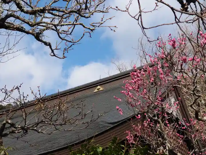早雲寺(神奈川県)