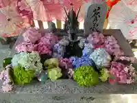 札幌諏訪神社の手水舎