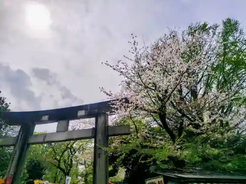 上野東照宮の{uncategorized: "未分類", other: "その他", undefined: "問題あり", building: "その他建物", grave: "お墓", sacred_gate: "鳥居", guardian: "狛犬", statue: "像", buddha: "仏像", history: "歴史", nature: "自然", garden: "庭園", animal: "動物", pagoda: "塔", temizu: "手水舎", mountain_gate: "山門・神門", sanctuary: "本殿・本堂", subordinate: "末社・摂社", art: "芸術", scenery: "景色", jizo: "地蔵", ema: "絵馬", goshuin: "御朱印", omikuji: "おみくじ", items: "授与品その他", amulet: "お守り", goshuincho: "御朱印帳", eats: "食事", festival: "お祭り", votive_dance: "神楽", shichigosan: "七五三参", wedding: "結婚式", experience: "体験その他", initially: "初詣", around: "周辺", anti_infection: "感染症対策"}