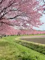 坂戸神社(埼玉県)