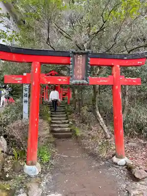 箱根神社の鳥居