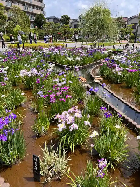 堀切天祖神社の自然