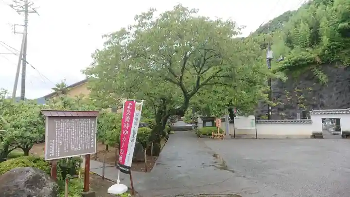 眞珠院(静岡県)