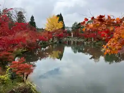 禅林寺（永観堂）(京都府)
