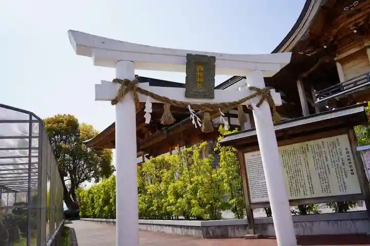 岩国白蛇神社(山口県)