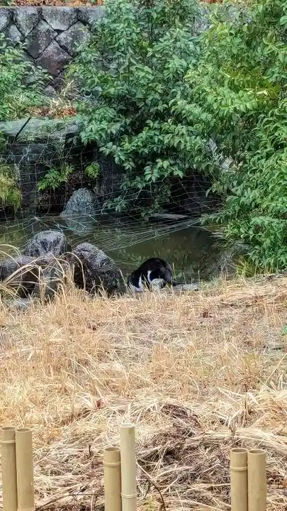 白金氷川神社(東京都)