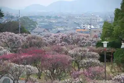 防府天満宮(山口県)