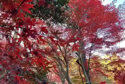 教林坊(滋賀県)