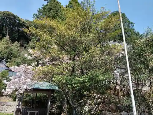 宇波西神社(福井県)
