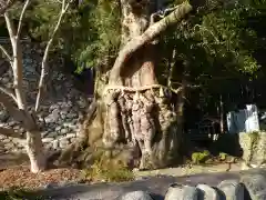 長島神社の自然