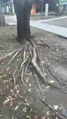 竹下稲荷神社(東京都)