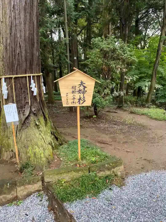 間々田八幡宮のその他建物