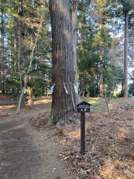 長沼八幡宮(栃木県)