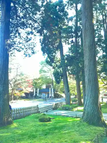 中尊寺(岩手県)