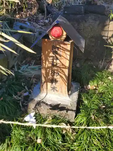 細井神社(群馬県)