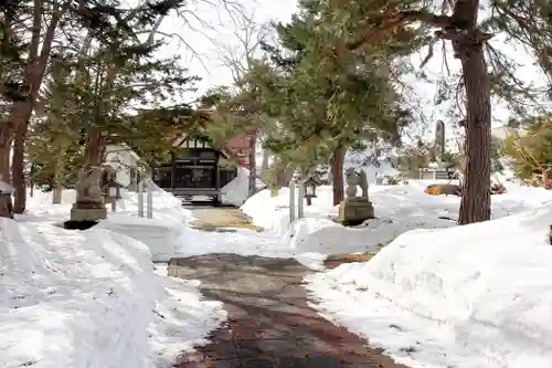 真龍神社の景色