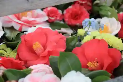 豊景神社の手水舎