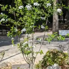 立志神社(滋賀県)