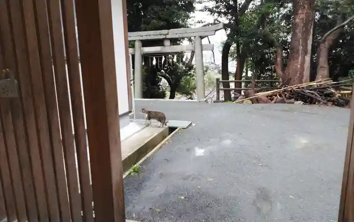 一宮神社の動物