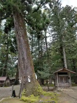 元伊勢内宮 皇大神社(京都府)