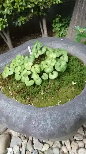 飛木稲荷神社の庭園