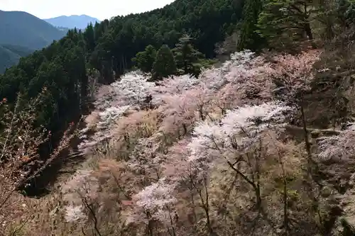 金峯神社（吉野町）の景色