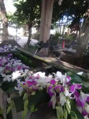 北本氷川神社(埼玉県)