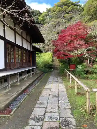 浄光明寺(神奈川県)