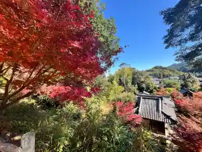 常樂寺(滋賀県)