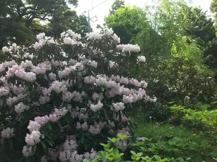 南原寺(山口県)