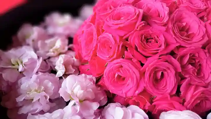 阿邪訶根神社の手水舎