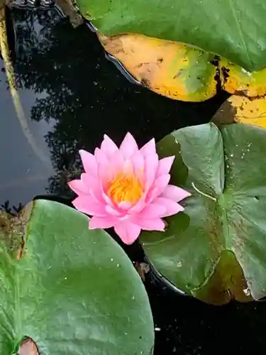 花山院菩提寺(兵庫県)