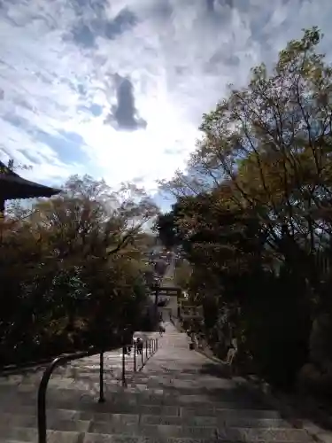 四條畷神社の{uncategorized: "未分類", other: "その他", undefined: "問題あり", building: "その他建物", grave: "お墓", sacred_gate: "鳥居", guardian: "狛犬", statue: "像", buddha: "仏像", history: "歴史", nature: "自然", garden: "庭園", animal: "動物", pagoda: "塔", temizu: "手水舎", mountain_gate: "山門・神門", sanctuary: "本殿・本堂", subordinate: "末社・摂社", art: "芸術", scenery: "景色", jizo: "地蔵", ema: "絵馬", goshuin: "御朱印", omikuji: "おみくじ", items: "授与品その他", amulet: "お守り", goshuincho: "御朱印帳", eats: "食事", festival: "お祭り", votive_dance: "神楽", shichigosan: "七五三参", wedding: "結婚式", experience: "体験その他", initially: "初詣", around: "周辺", anti_infection: "感染症対策"}