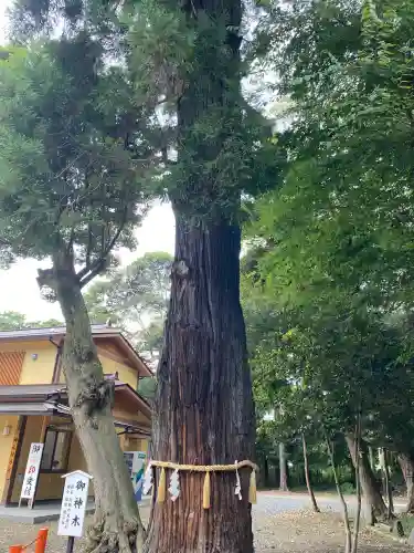 息栖神社(茨城県)
