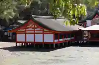 厳島神社(広島県)