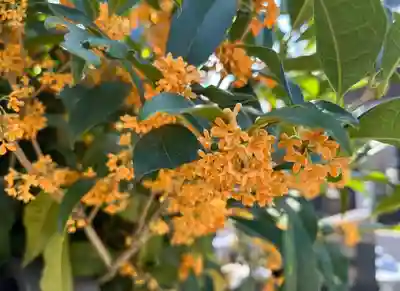 秩父札所十三番 慈眼寺(埼玉県)