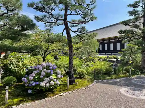 蓮華王院（三十三間堂）(京都府)