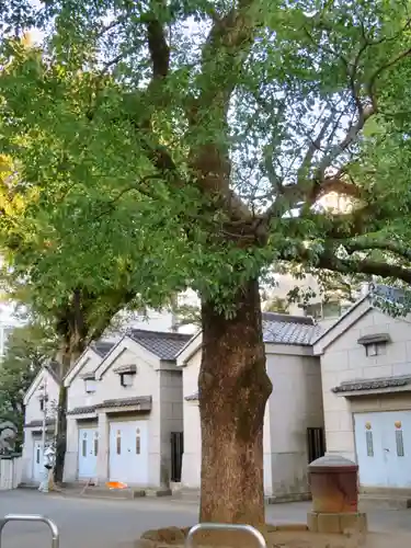 穴八幡宮の自然