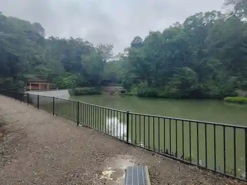 大縣神社の自然