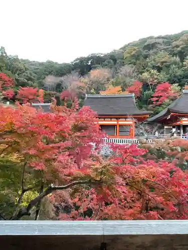 清水寺(京都府)