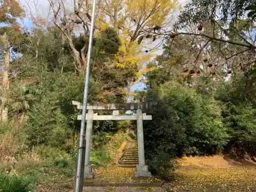 天津日神社の鳥居